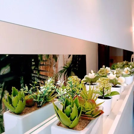Happiness - Double Apartment Rome